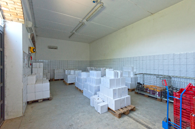 Unique wine property in stunning position