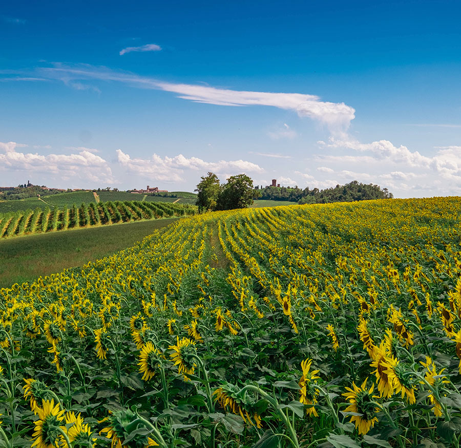 Find your perfect property in Piedmont, Italy