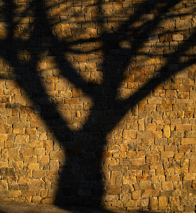 Expert advice when buying a home in Piedmont Italy